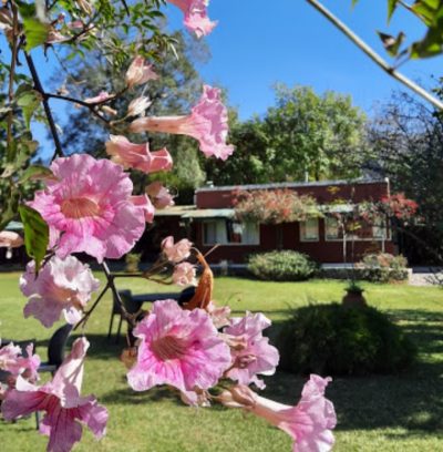 Cabañas del Sol – 5
