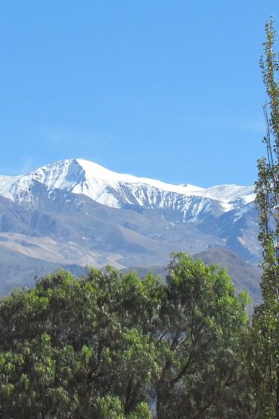 El Cortijo Hotel Boutique  – 8