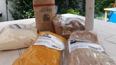 Alimentos saludables – 6